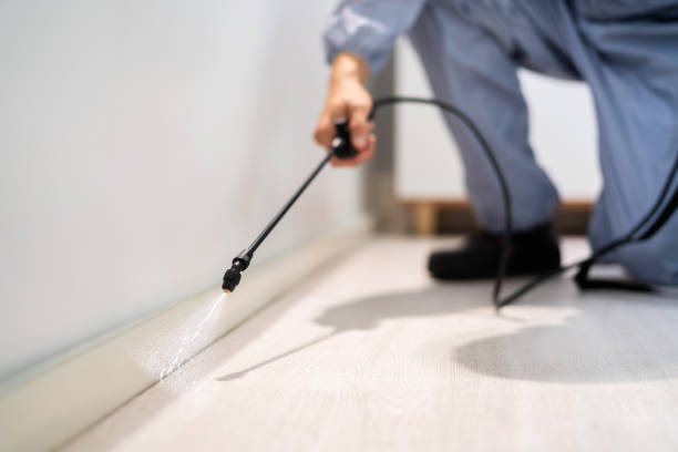 Bed Bug Pre-Treatment Preparation Assessment in Spring City