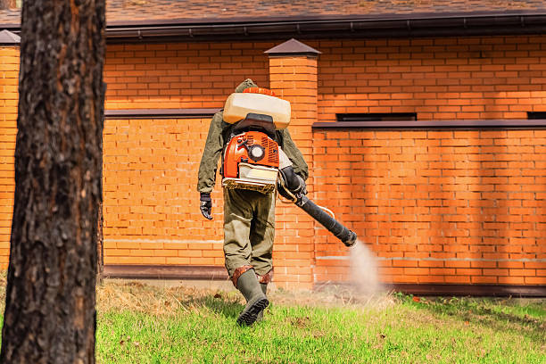 Bed Bug Clearance Verification and Documentation in Spring City